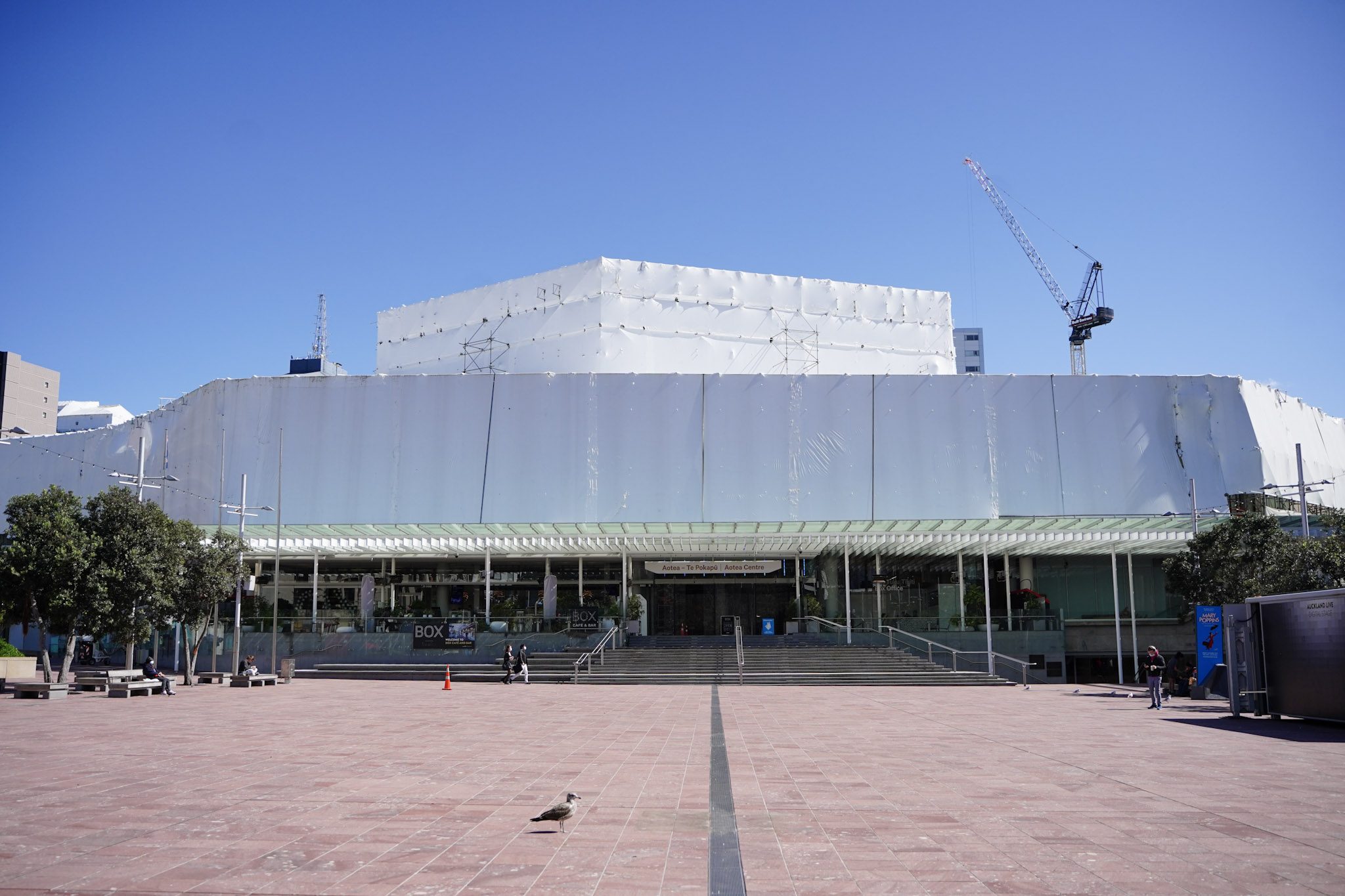 Affordable Scaffolding Aotea Centre